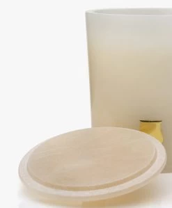 Trudon Les Albâtres Héméra Geurkaars - 270 Gr -Huishoudelijke Producten Serie 3f7d02b6 26dd 4070 ad89 c935e8cd56fa 03