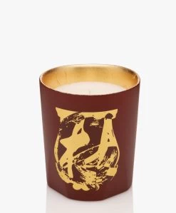 Trudon Terre À Terre Geurkaars - 270Gr